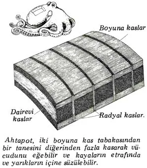 ey85-20.jpg