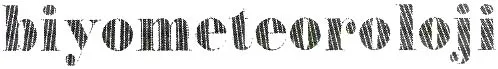 ey85-38.jpg