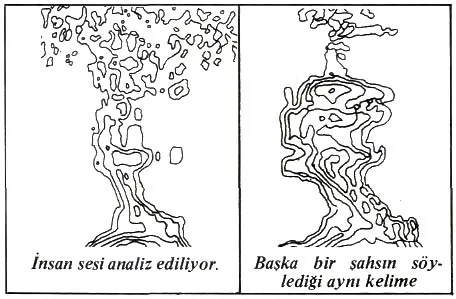 kas85-17.jpg