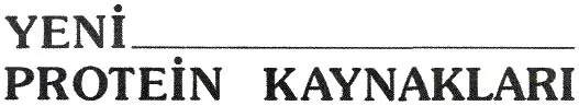 kas85-4.jpg