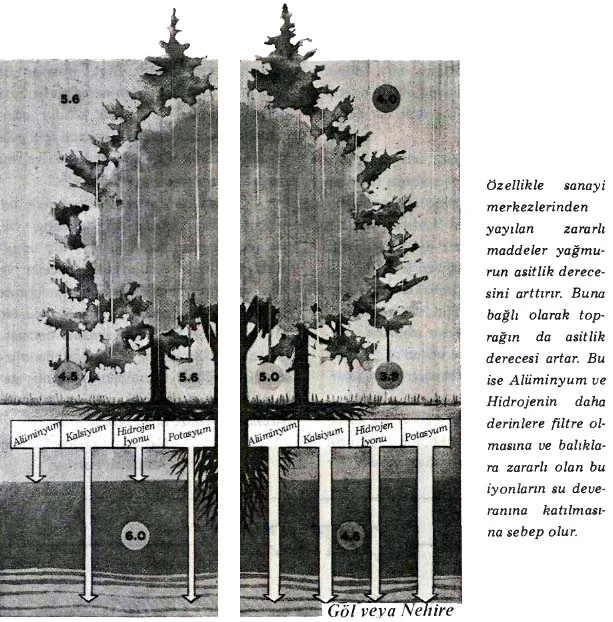ar85-36.jpg