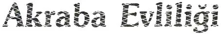 ar85-9.jpg