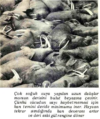 mar87-33.jpg