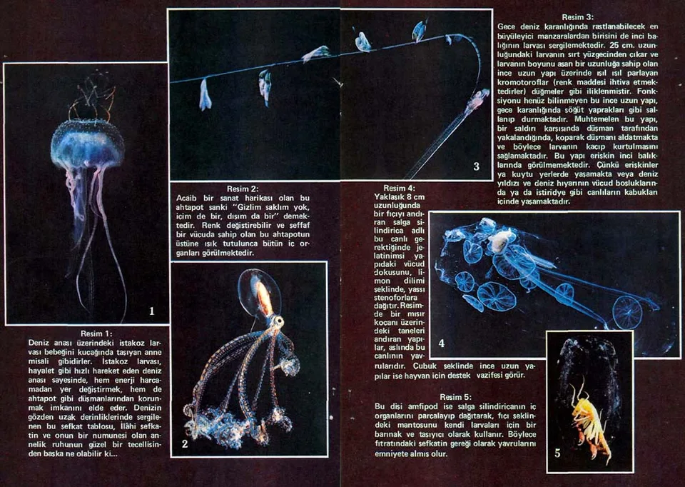 mar87-8.jpg