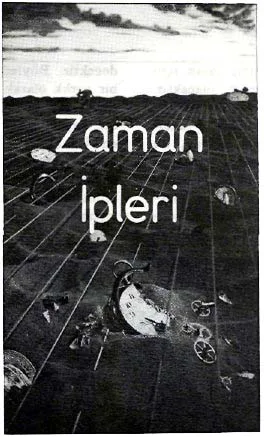 ha87-9.jpg