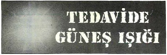 tem87-11.jpg