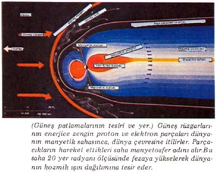 tem87-16.jpg