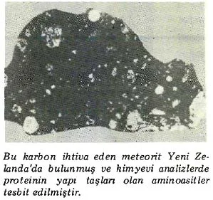 tem87-18.jpg