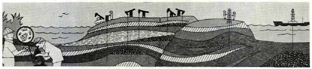 tem87-30.jpg