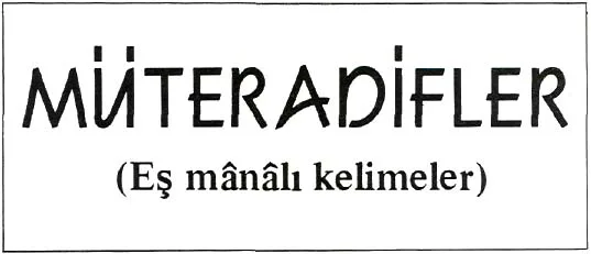 tem87-37.jpg