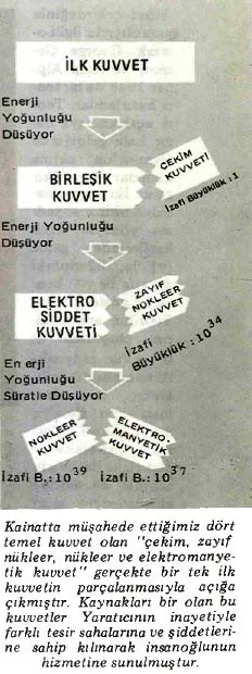 ey87-24.jpg
