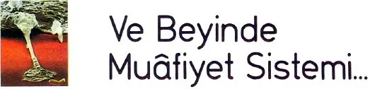 ey87-33.jpg