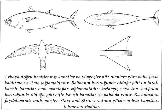 ey87-44.jpg