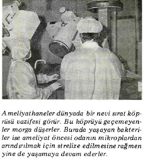 ey87-6.jpg