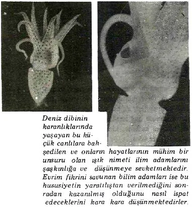 ek87-32.jpg
