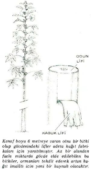 ka87-8.jpg