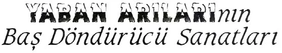 ar87-16.jpg