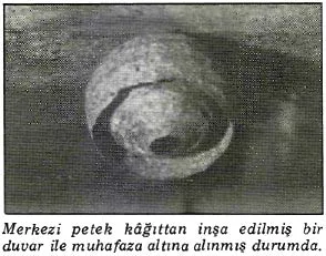 ar87-17.jpg
