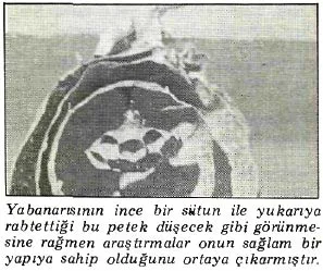 ar87-18.jpg