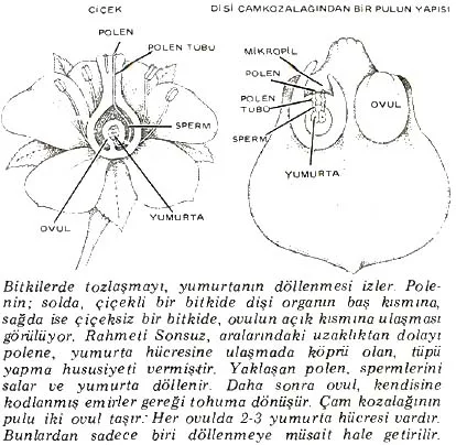 ar87-44.jpg