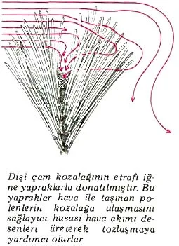 ar87-46.jpg