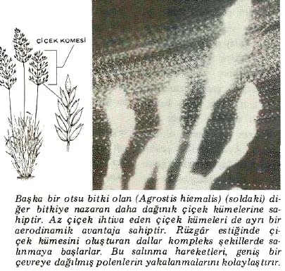 ar87-48.jpg