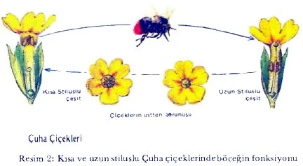 sub89