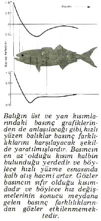sub89