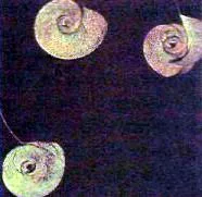 mar89