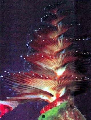 mar89