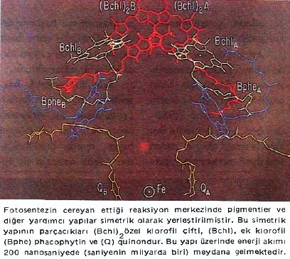 mar89