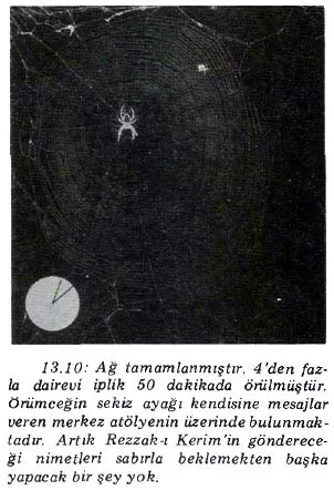nis89