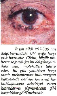 nis89