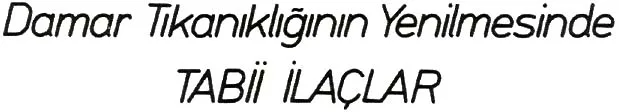 nis89-44.jpg