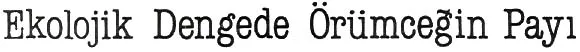 nis89