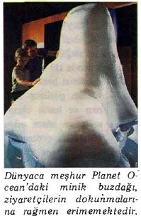 tem89-38.jpg