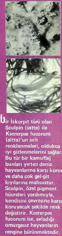 agu89