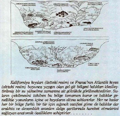 agu89