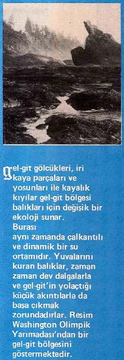 agu89
