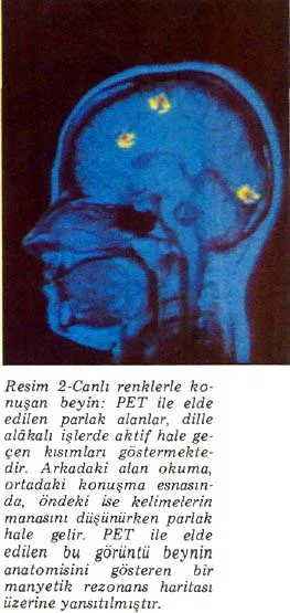 eyl89
