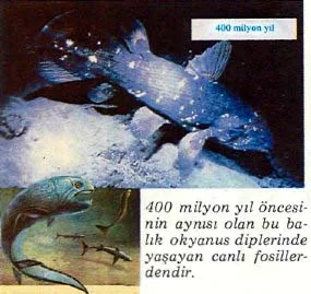 eyl89