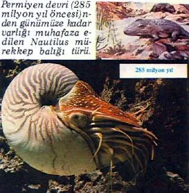 eyl89