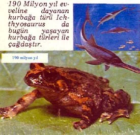eyl89