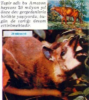 eyl89