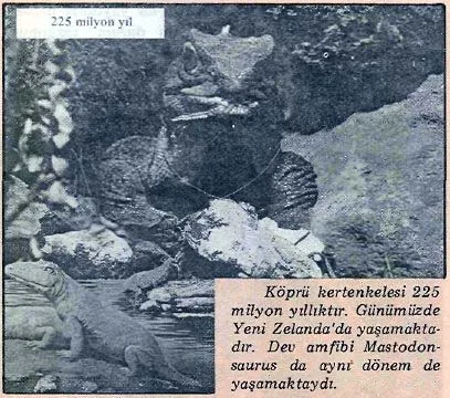eyl89