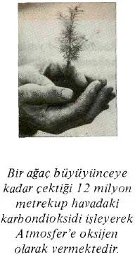 eyl89