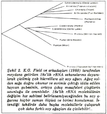 ek89-6.jpg