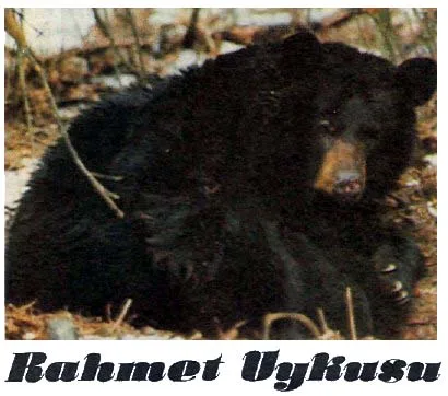 kas89