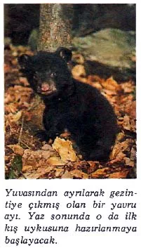 kas89