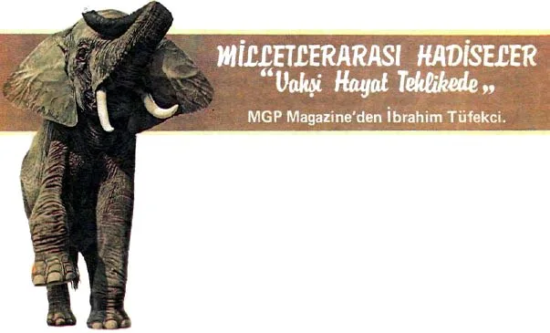 kas89